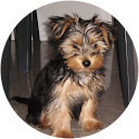 Xavi Balde profile picture